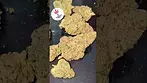 Ostara Medical | GAS CAKE | UK Medical Flower  Absolutely