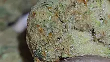 Vinnie's Lounge Video Thumbnail