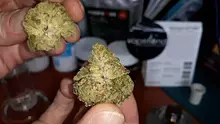 Smacksalad Video Thumbnail