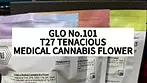 GLO No.101 T27 Tenacious UK Medical Cannabis Flower First Impressions