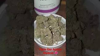 Farm Gas Aurora Medical ukmedicalcannabis medical flower plantmedicine alternaleaf herbal
