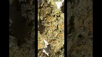 IPS Black Candy #medicalcannabis 27% thc (it’s very nice)