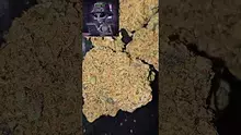 AzztecMedia Video Thumbnail