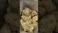 Video Thumbnail: High Jack