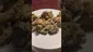 Video Thumbnail: Pip Smoker 