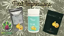 Big Bud Reviews Video Thumbnail