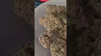 Phant D1 Pink 28% UK Medical Flower Review