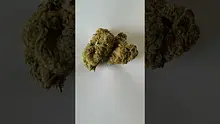 Medical UK Cannabis Video Thumbnail