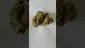 Video Thumbnail: Medical UK Cannabis
