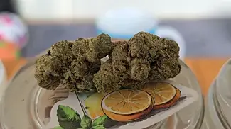 Comparison - White Runtz vs Bannana Daddy vs Blueberry Purp #runtz #originalblueberry #cieloverde