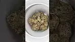 UK medical cannabis flower white runts !! Looking and smelling nice!!