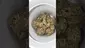 Video Thumbnail: Big Smokey Medical UK