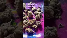 GIggzy Medical Buds Video Thumbnail