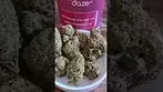 Pink Cookies - Sundaze T27 PCK, UK Medical Cannabis Strains #Alternaleaf #Montu