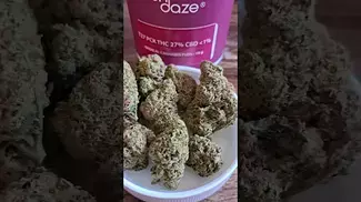 Pink Cookies - Sundaze T27 PCK, UK Medical Cannabis Strains #Alternaleaf #Montu
