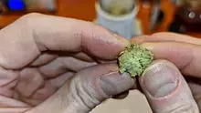 Smacksalad Video Thumbnail