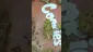 Video Thumbnail: TimeTooToke