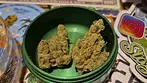 Papaya terpz 26% thc 1% cbd