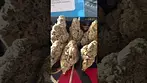 COOKIE'S GELLATI 32%THC.