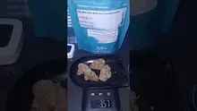 Nizzz _119 Video Thumbnail