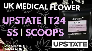 UK MEDICAL FLOWER | UPSTATE | T24 | SS | SCOOPS