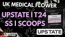 Cannabis Culture  Video Thumbnail
