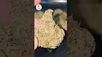 Kasa Verde Grease Monkey, Is it Straight Fire ?  #subscribe #subscribemychannel #wellness