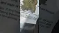 Video Thumbnail: Concanna