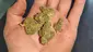 Video Thumbnail: CannaChris