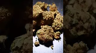 Platinum Garlic  THC 26% CBD 1% Indica Dominant #shorts