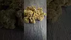 Sour og cheese review £6.50 a gram 25% thc good terps Recommended