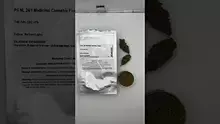 Becky's Buds Video Thumbnail