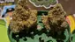Video Thumbnail: Keep Blazing Stay Amazing