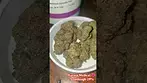 Aurora Sourdough Medical  medical flower cannabisheals cannabiseducation  cannabiscommunity