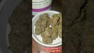 Aurora Sourdough Medical  medical flower cannabisheals cannabiseducation  cannabiscommunity