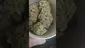 Video Thumbnail: AzztecMedia