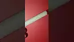 Roll Test - Banana Daddy