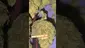 Video Thumbnail: Big Bud Reviews