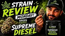 med canna diaries Video Thumbnail