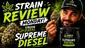 Video Thumbnail: med canna diaries
