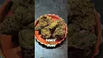 Orange Cake by Lot 420. 29%THC