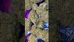CURALEAF GOD BUD ( UK PRESCRIPTION MEDICATION)
