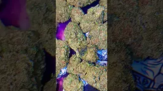 CURALEAF GOD BUD ( UK PRESCRIPTION MEDICATION)