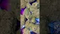Video Thumbnail: PrescribedBouquet