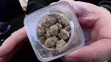 Medical Bud Reviews Video Thumbnail