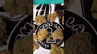 FOUR20PHARMA - Pineapple Fruz