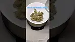 Roxton Air: Frosted Cookies (pack opening & weigh)