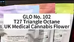 GLO No.2 T27 Triangle Octane UK Medical Cannabis Flower First Impressions