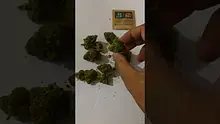 My Medical 420 Video Thumbnail