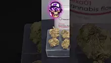 MillsMF Video Thumbnail